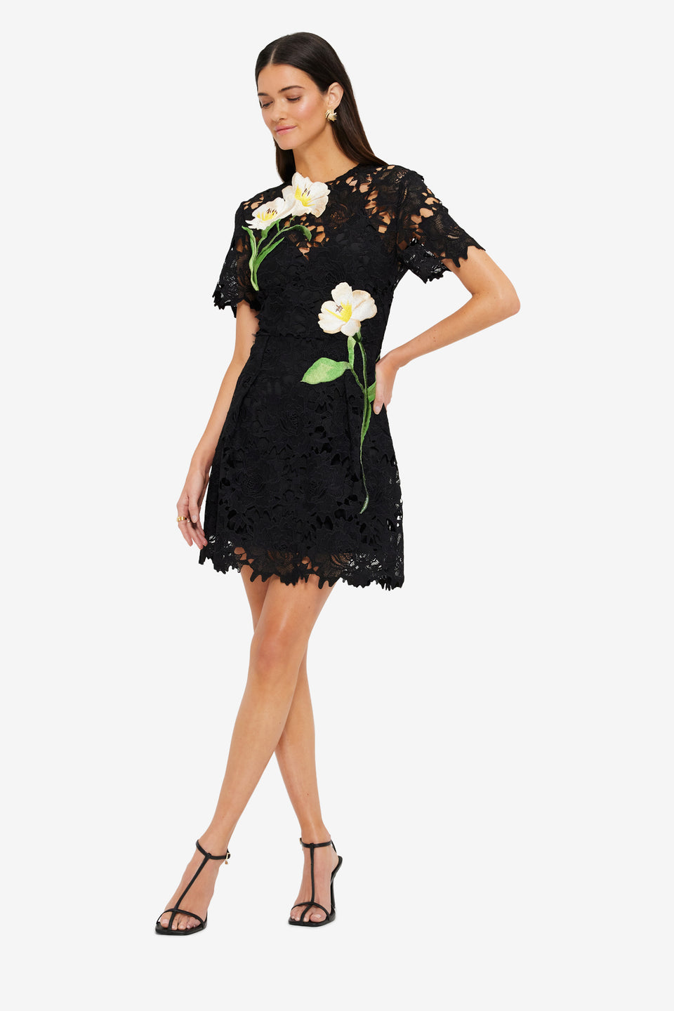 Exclusive Leo Lin Margot Embroidered Lace Mini Dress in Ebony