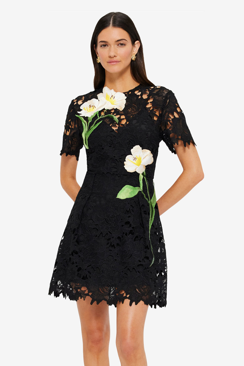 Exclusive Leo Lin Margot Embroidered Lace Mini Dress in Ebony