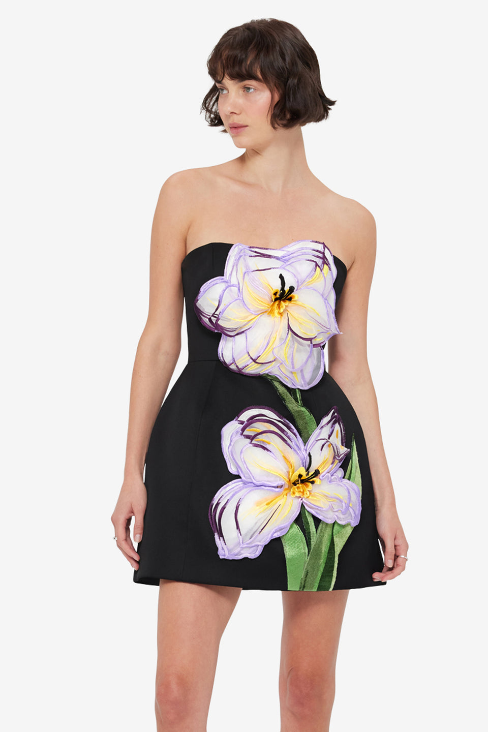 Exclusive Leo Lin Rosario Appliqué Floral Bustier Mini Dress - Iris Print in Ebony