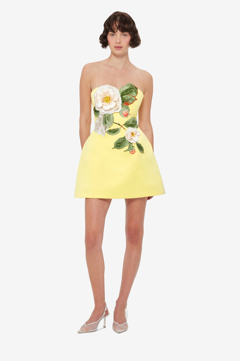 Rex Yellow Applique Floral Bustier Mini Dress