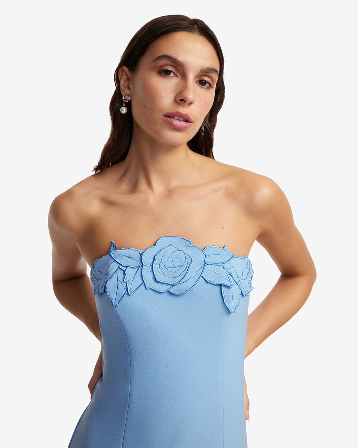 Rayna Appliqu Bustier Maxi Dress - Pastel Blue LEO LIN Rayna Appliqu Bustier Maxi Dress - Pastel Blue LEO LIN