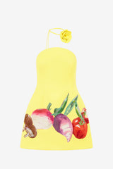 Zaria Bustier Mini Dress - Harvest Print Dress Mini