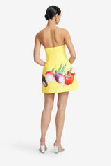 Zaria Bustier Mini Dress - Harvest Print Dress Mini