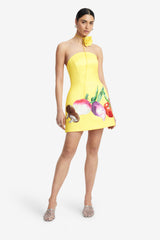 Zaria Bustier Mini Dress - Harvest Print Dress Mini