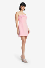 Roselle Appliqué Bustier Mini Dress - Blush Pink Dress Mini