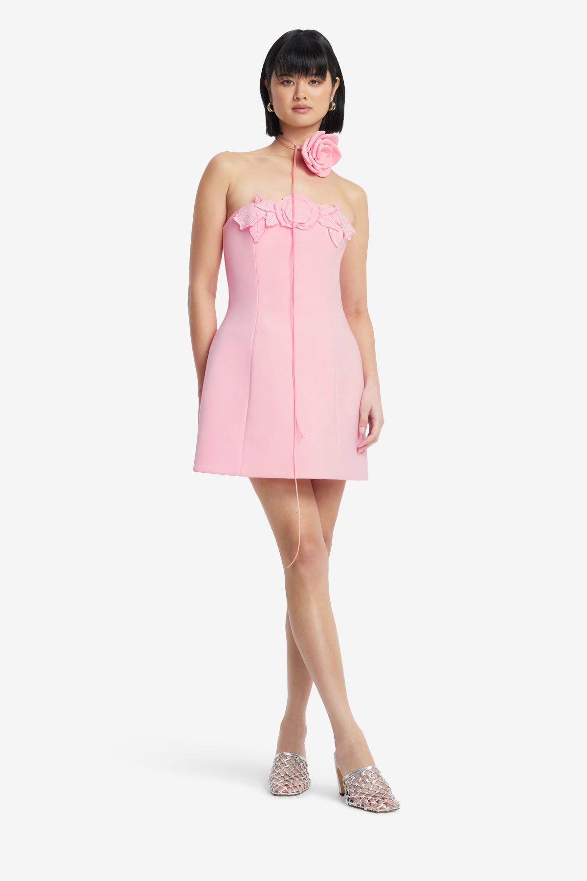 Roselle Appliqué Bustier Mini Dress - Blush Pink – LEO LIN