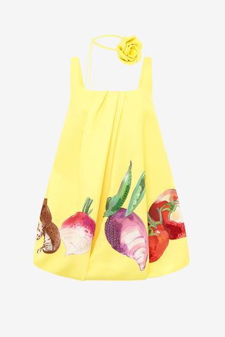 Exclusive LEO LIN Suki Puff Mini Dress - Harvest Print