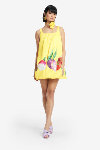 Exclusive LEO LIN Suki Puff Mini Dress - Harvest Print