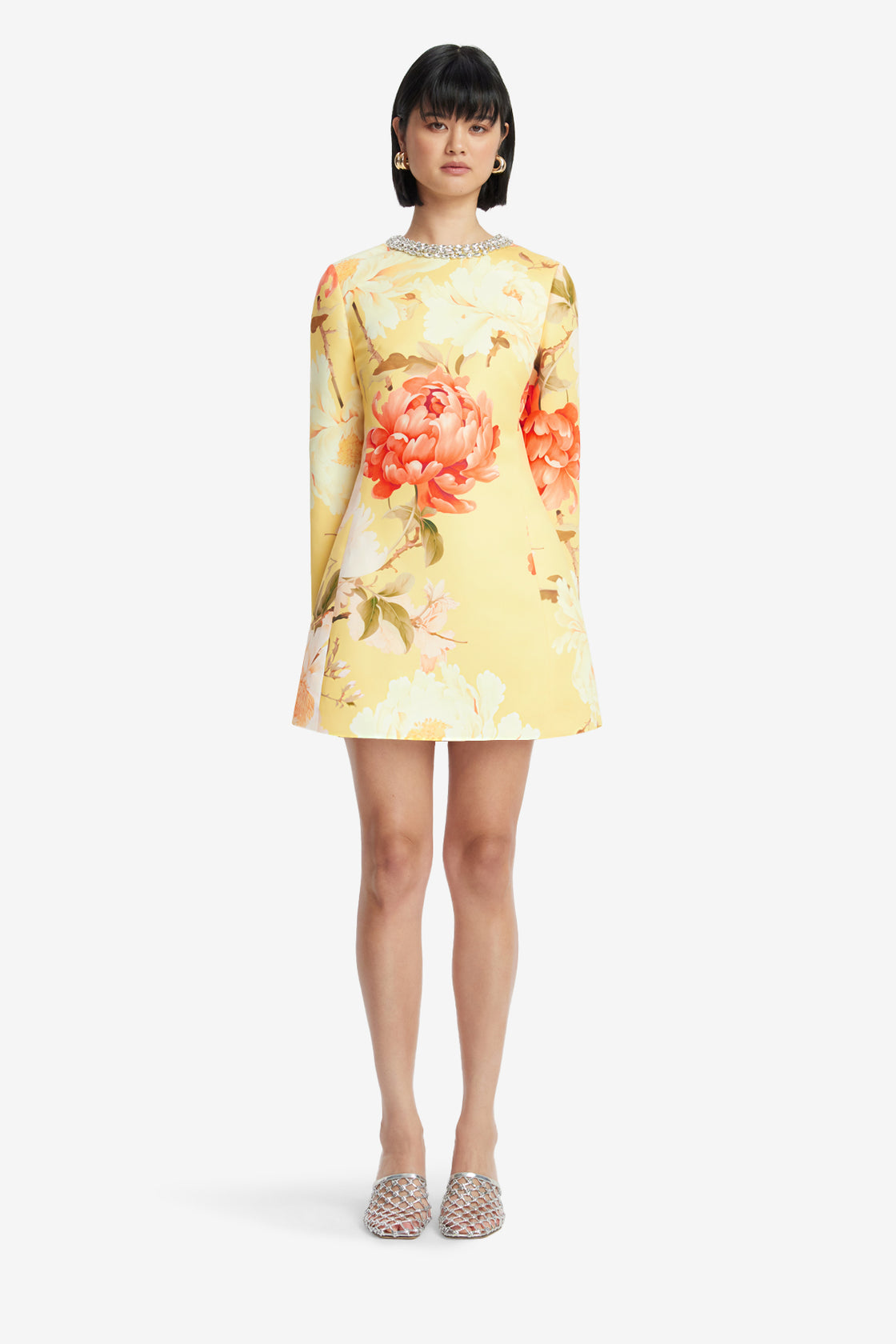 Aliza Embellished Long Sleeve Mini Dress Aliza Embellished Long Sleeve Mini Dress