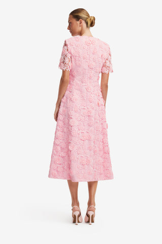 Exclusive LEO LIN Caroline Lace Short Sleeves Midi Dress - Blush Pink
