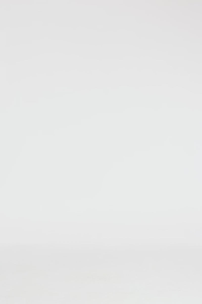 Exclusive LEO LIN Ava Halterneck Applique Floral Bustier Maxi Dress - Vine Print in Ebony