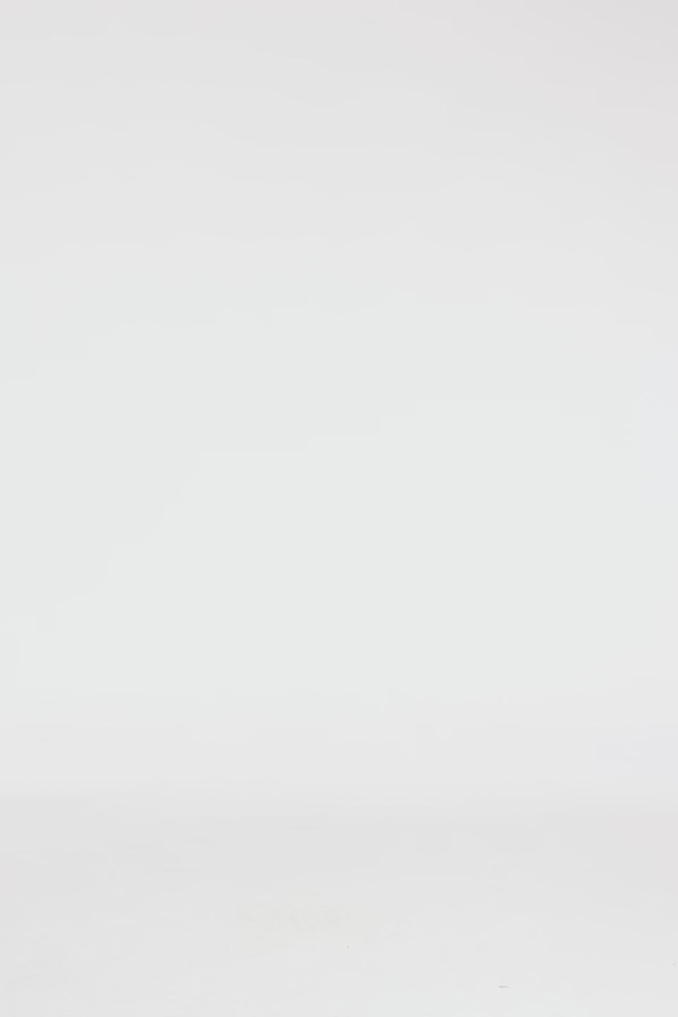 Exclusive LEO LIN Grace Flutter Sleeve Midi Dress - Riviera Print