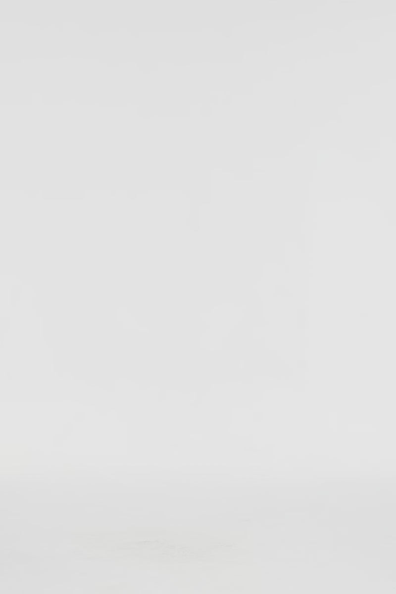 Exclusive LEO LIN Grace Flutter Sleeve Midi Dress - Pear Print