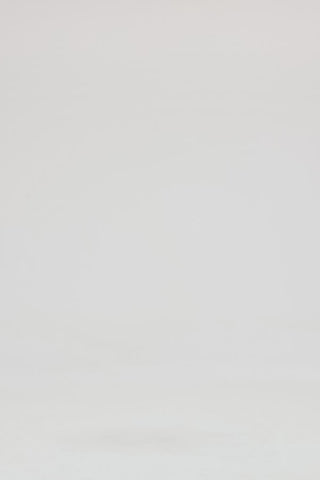 Exclusive LEO LIN Willa Pleated Mini Skirt