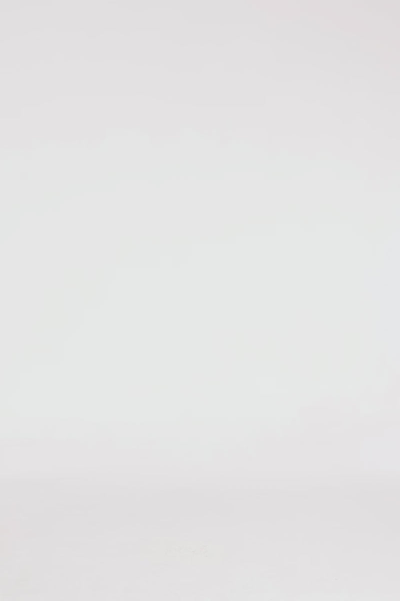 Exclusive LEO LIN Iris Embellished Top - Wildbloom