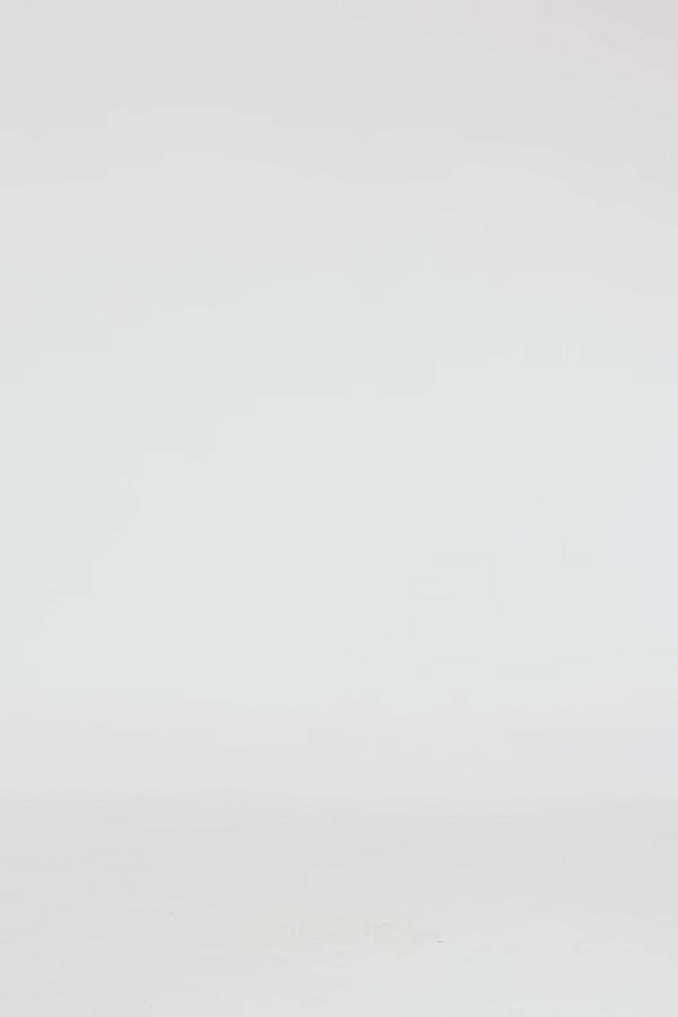 Exclusive LEO LIN Olivianne Shorts - Garden Print in Baby Blue