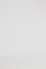 Roselle Embellished Lace Bustier Mini Dress - Snow Meadow Dress Mini