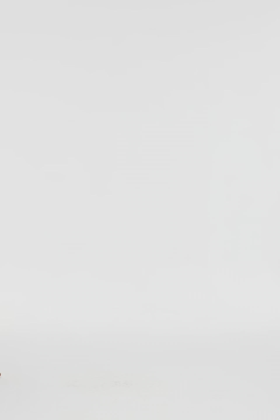 Exclusive LEO LIN Yvonne Embroidered Mini Dress - Ebony