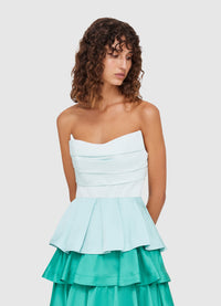 Jade Bustier Top