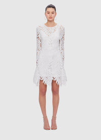 Exclusive Leo Lin Selena Lace Mini Dress in Snow